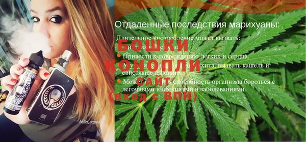 сатива Балабаново