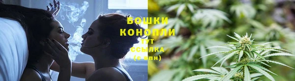 сатива Балабаново