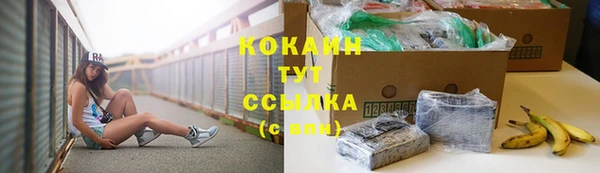 сатива Балахна