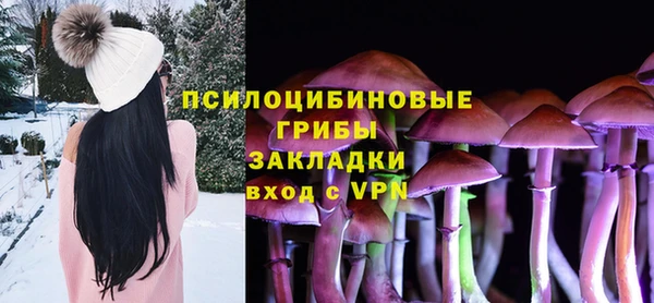 сатива Балабаново